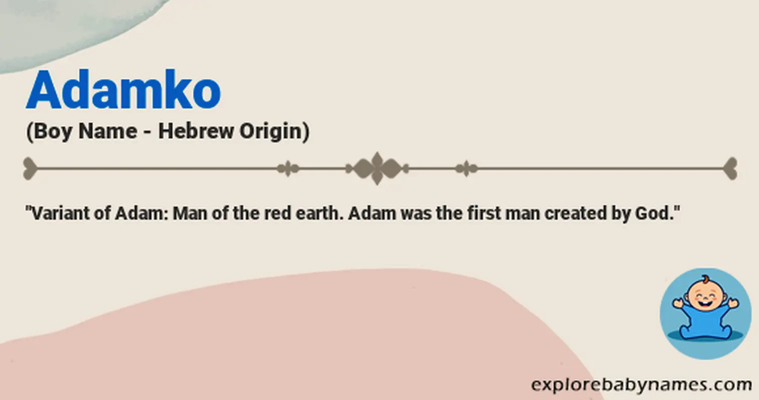 Meaning of Adamko