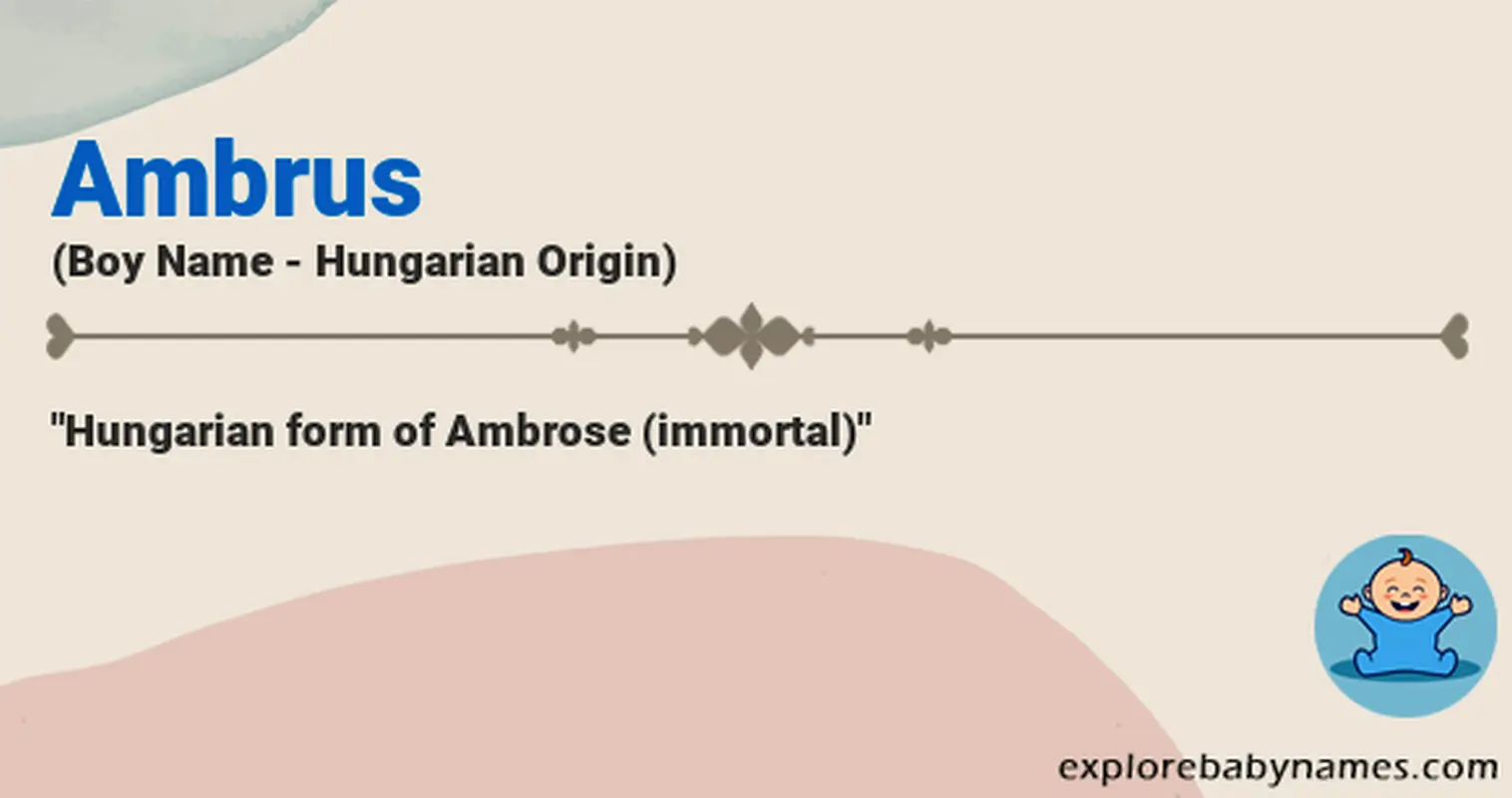 Meaning of Ambrus