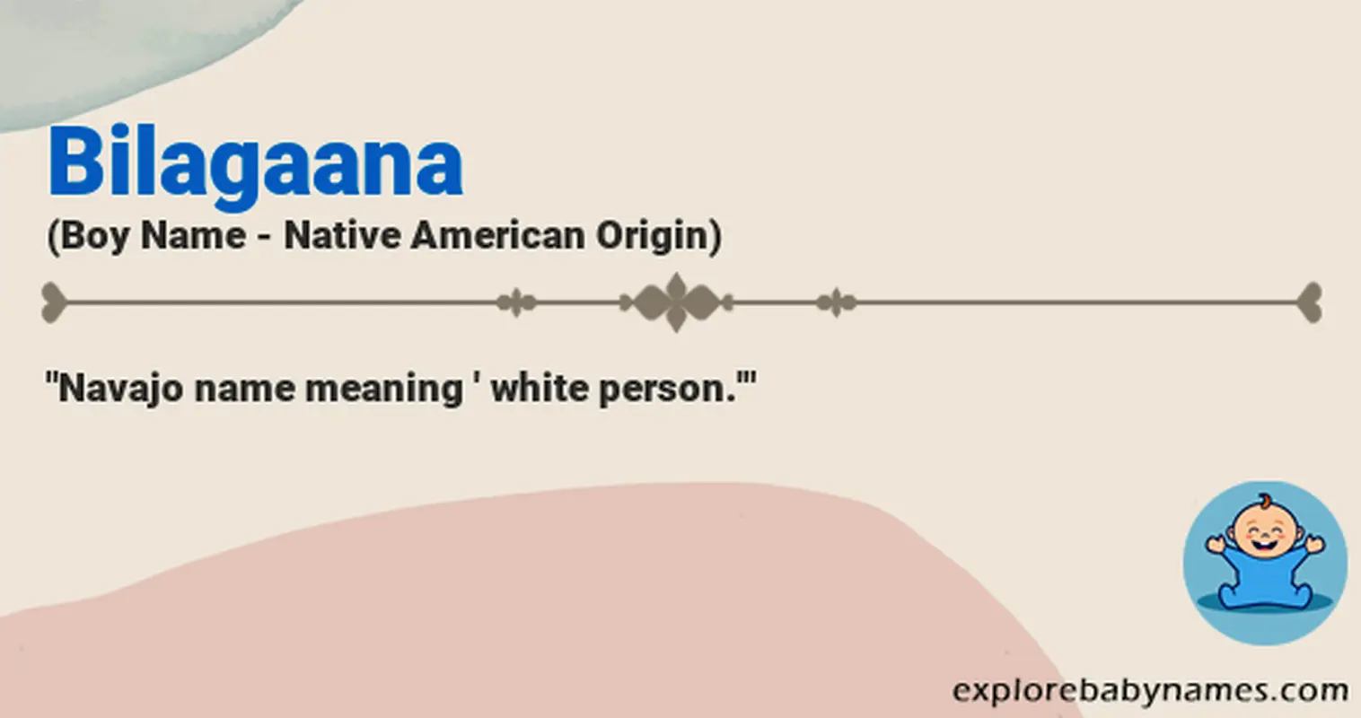 Meaning of Bilagaana