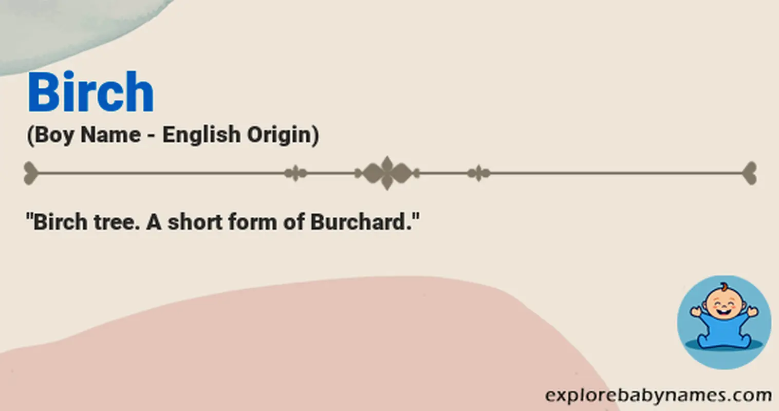 Meaning of Birch