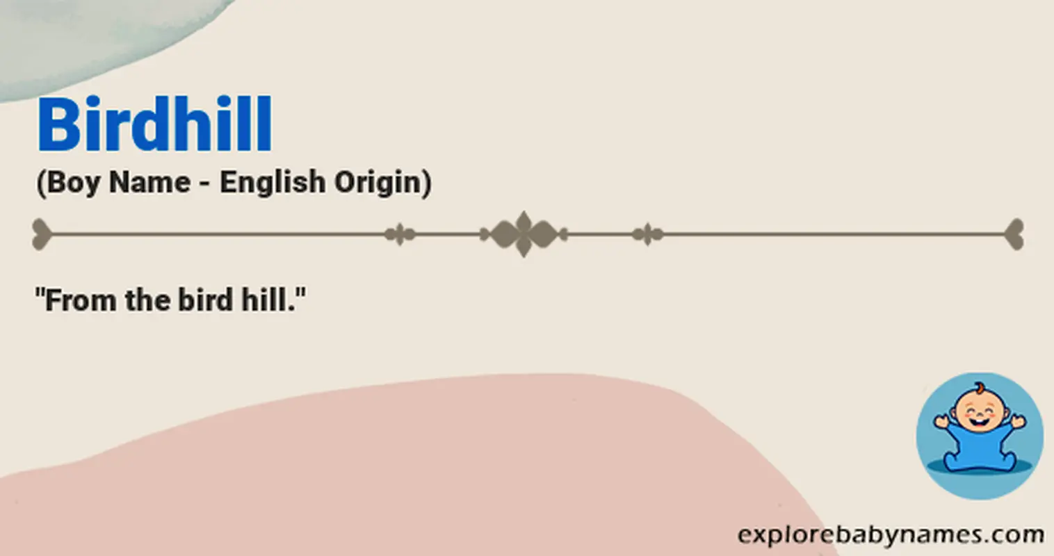 Meaning of Birdhill