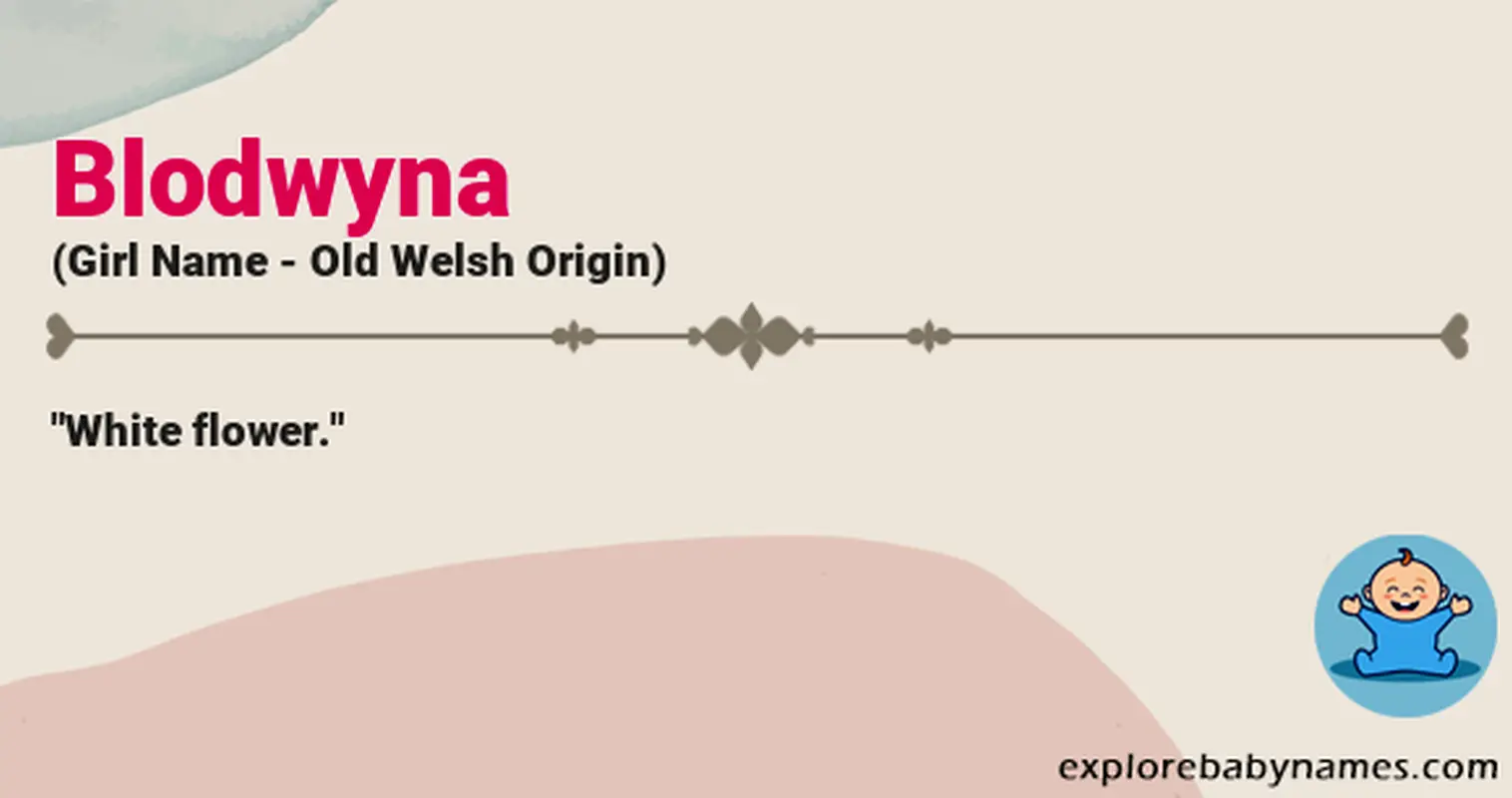 Meaning of Blodwyna