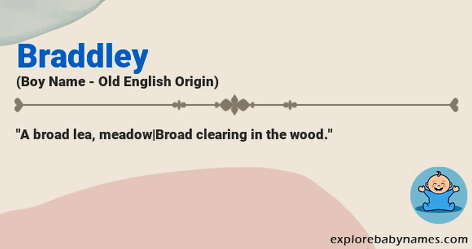 Meaning of Braddley