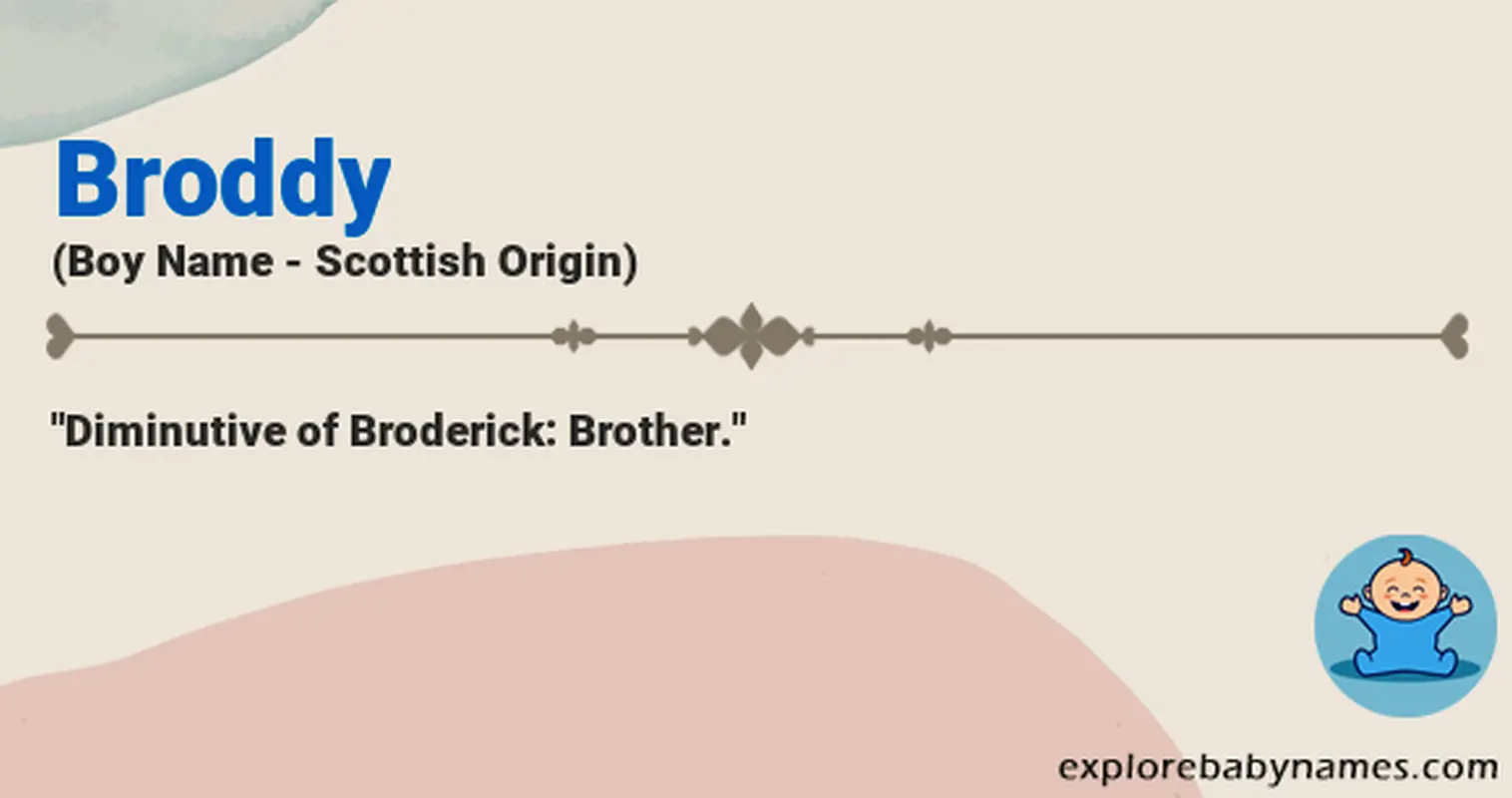 Meaning of Broddy