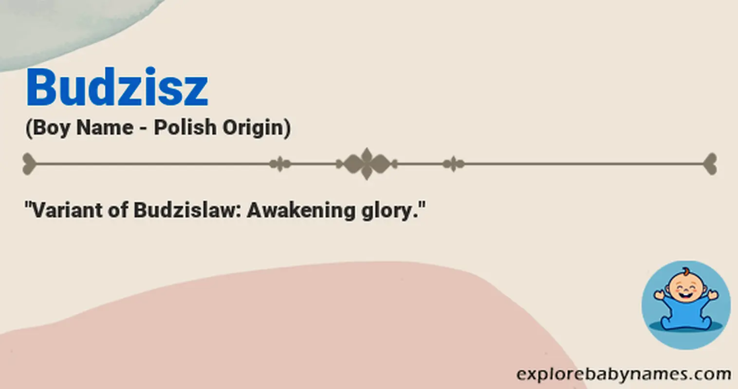 Meaning of Budzisz