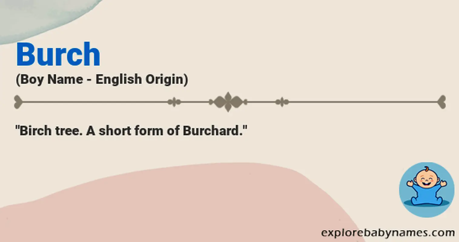 Meaning of Burch