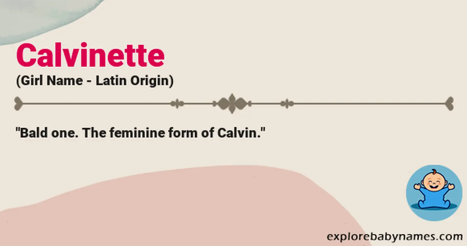 Meaning of Calvinette