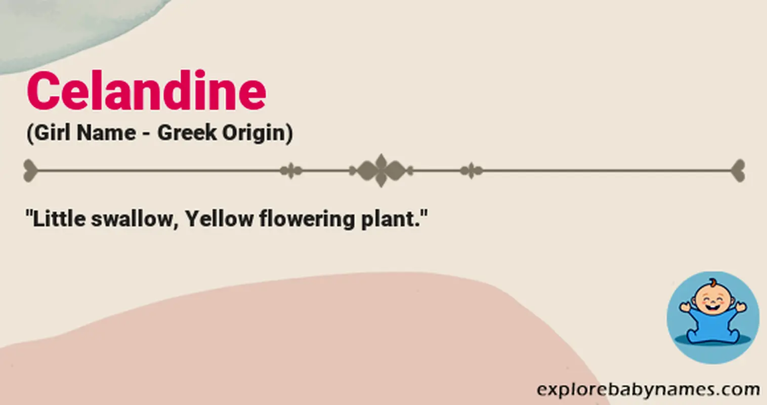 Meaning of Celandine