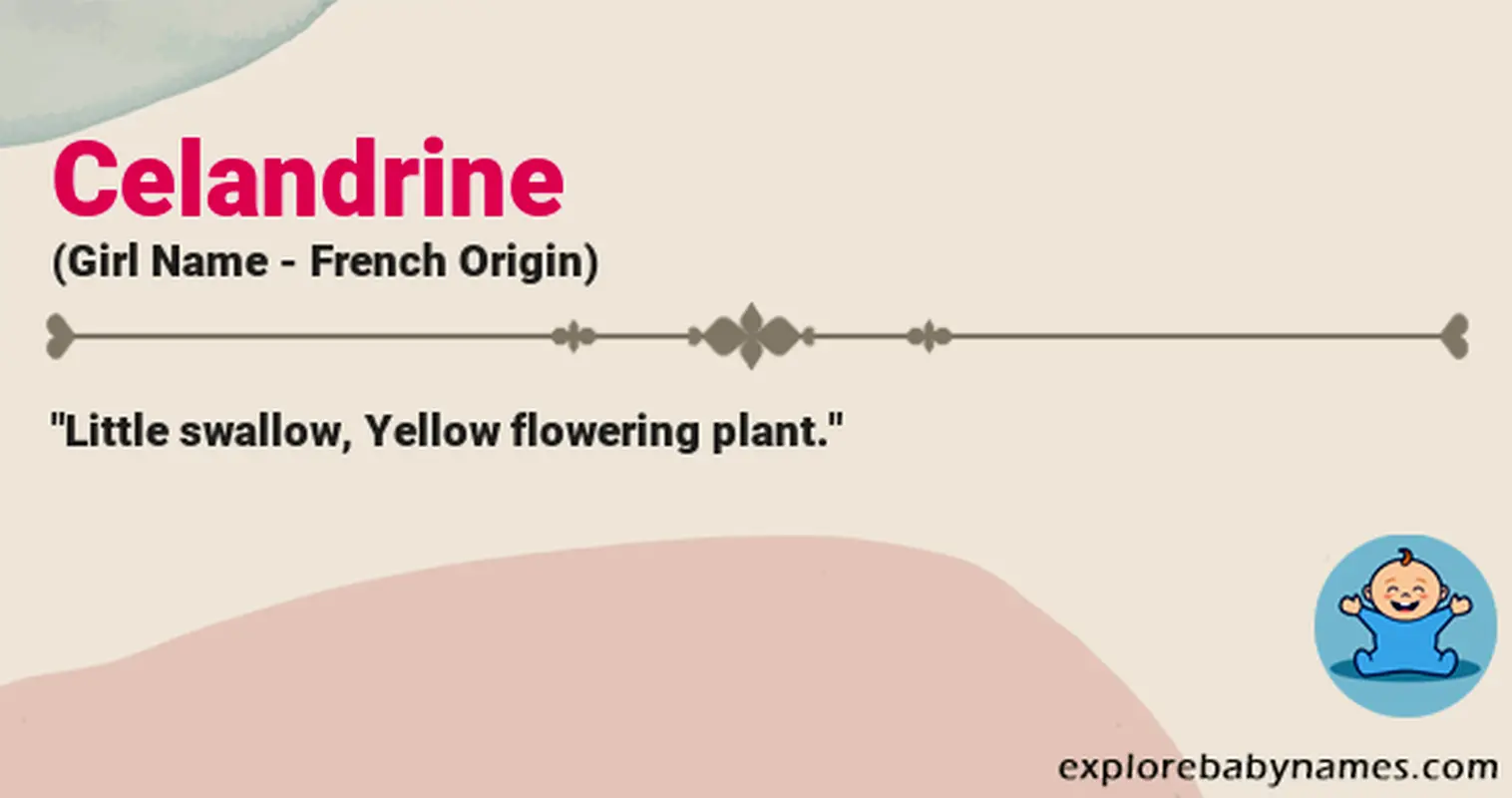 Meaning of Celandrine