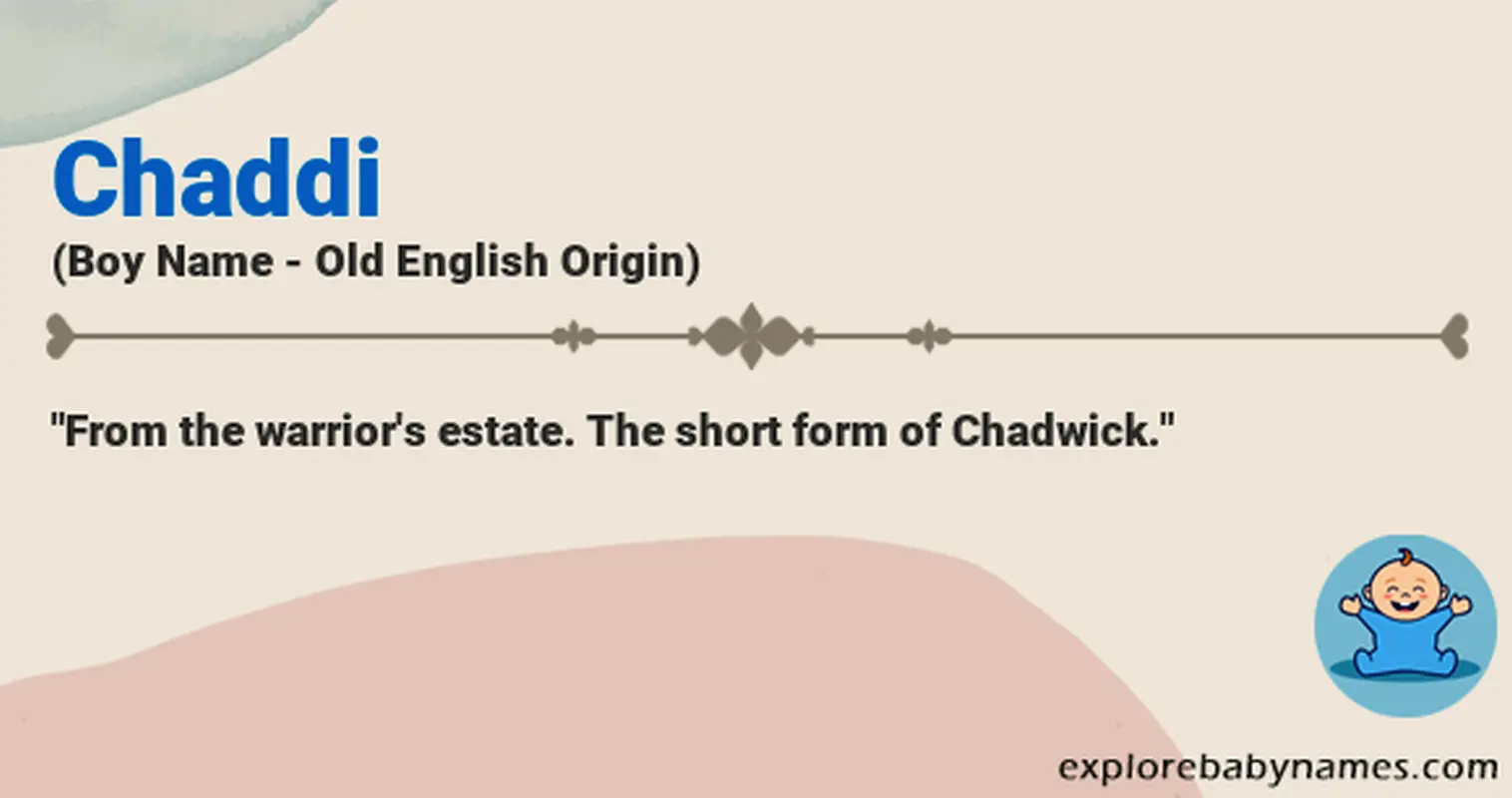 Meaning of Chaddi