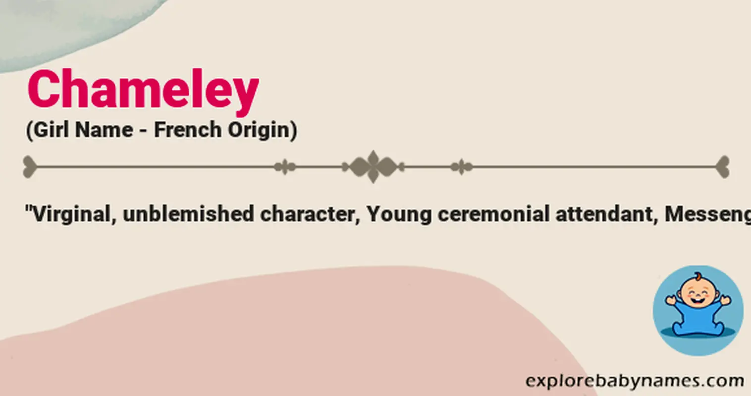 Meaning of Chameley