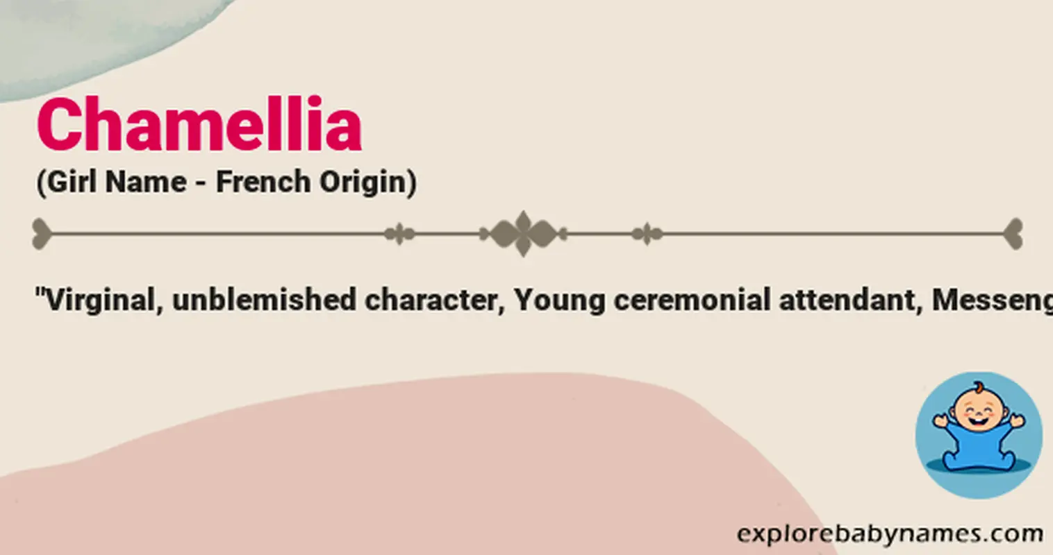 Meaning of Chamellia