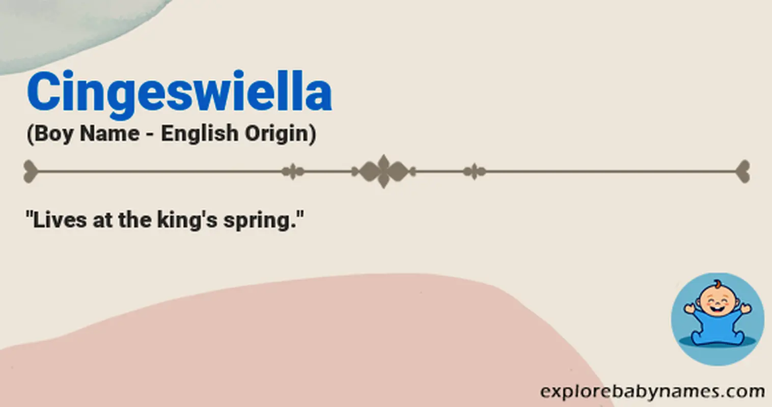 Meaning of Cingeswiella