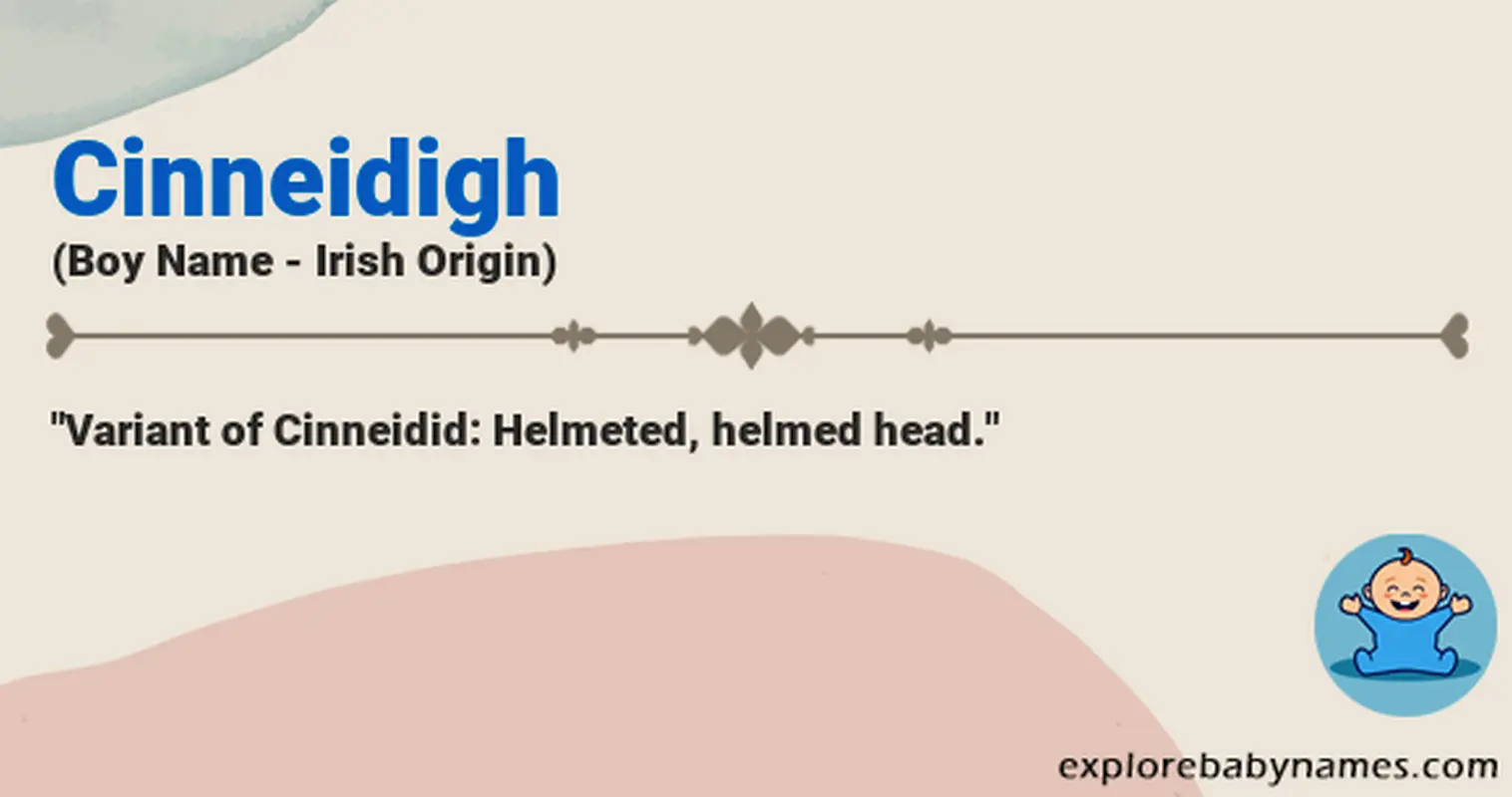 Meaning of Cinneidigh