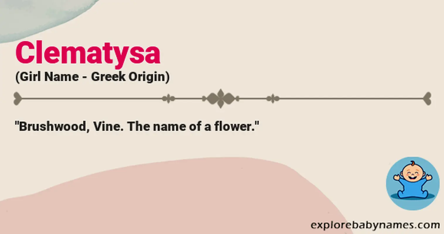 Meaning of Clematysa