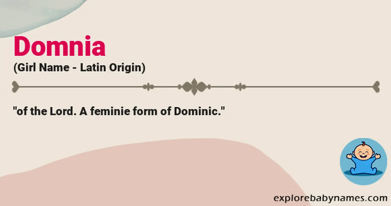 Meaning of Domnia