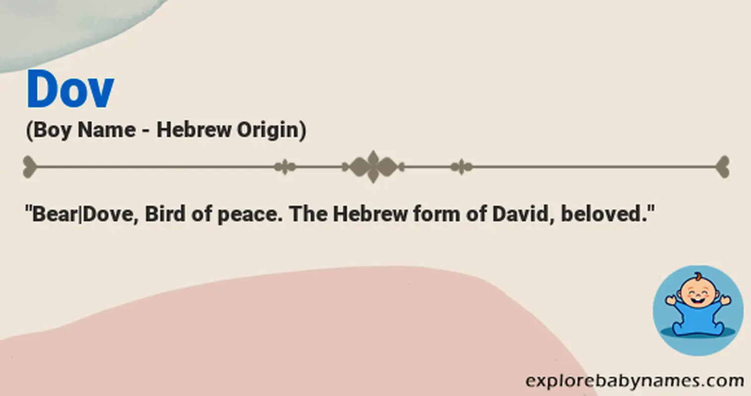 Meaning of Dov