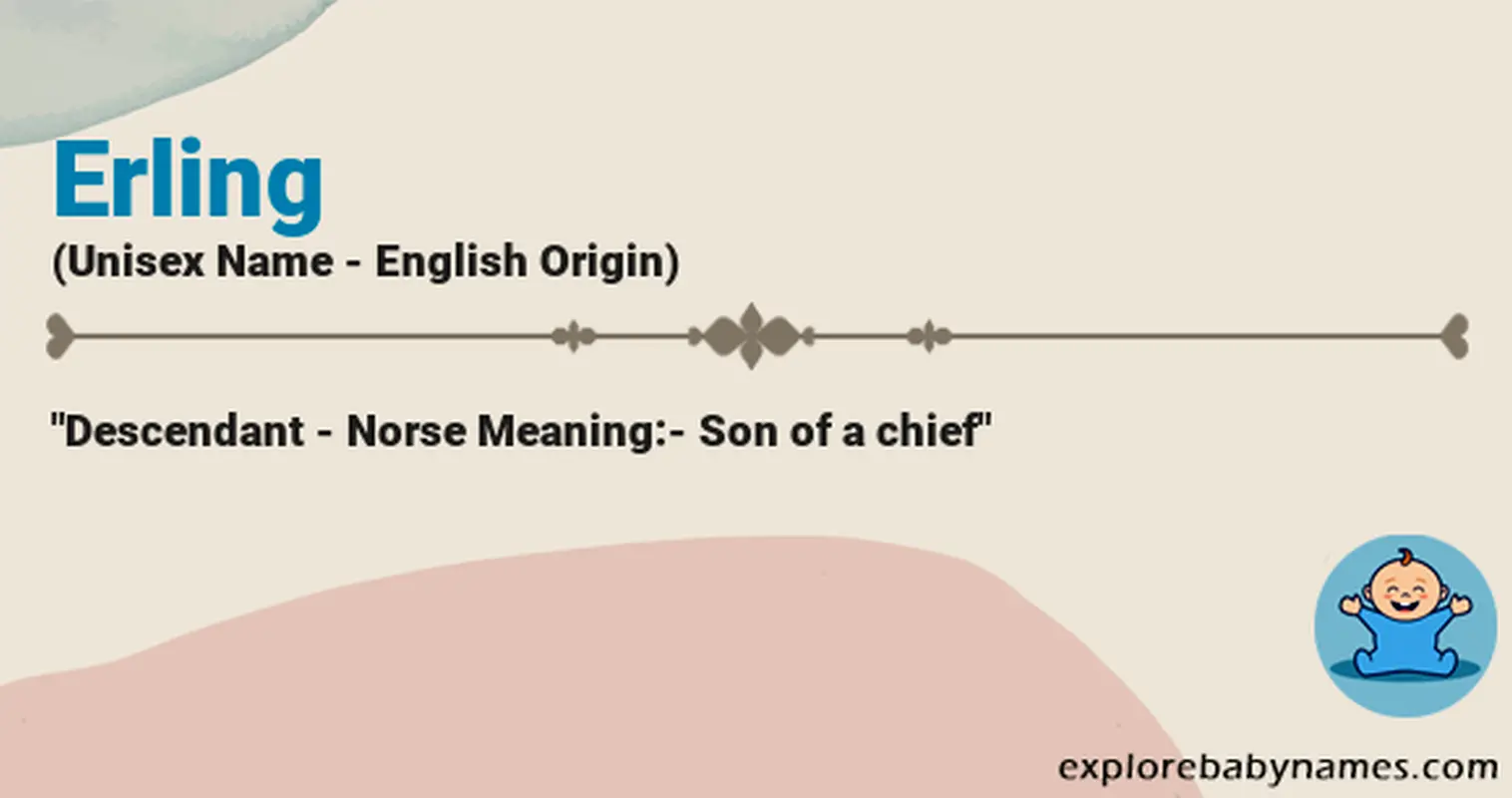 Meaning of Erling