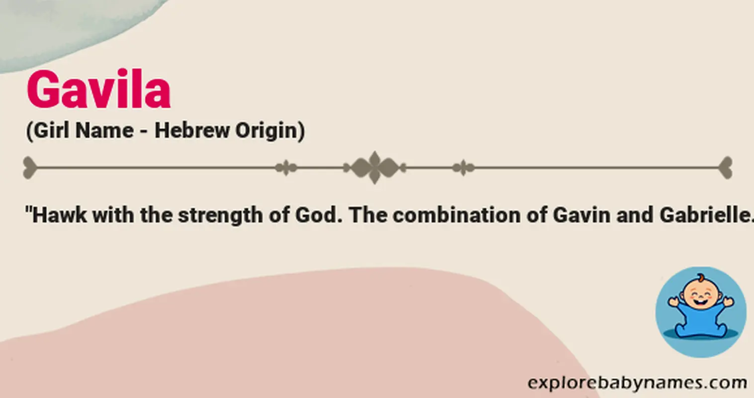 Meaning of Gavila