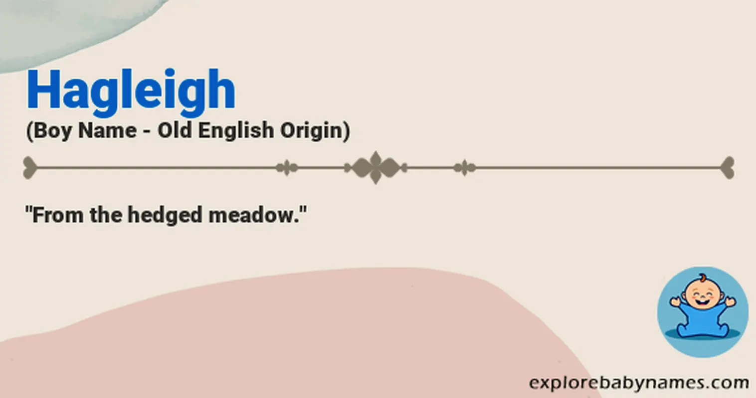 Meaning of Hagleigh