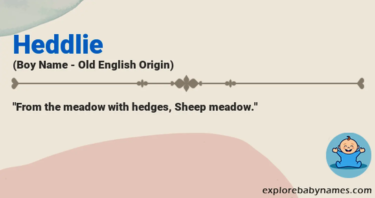 Meaning of Heddlie