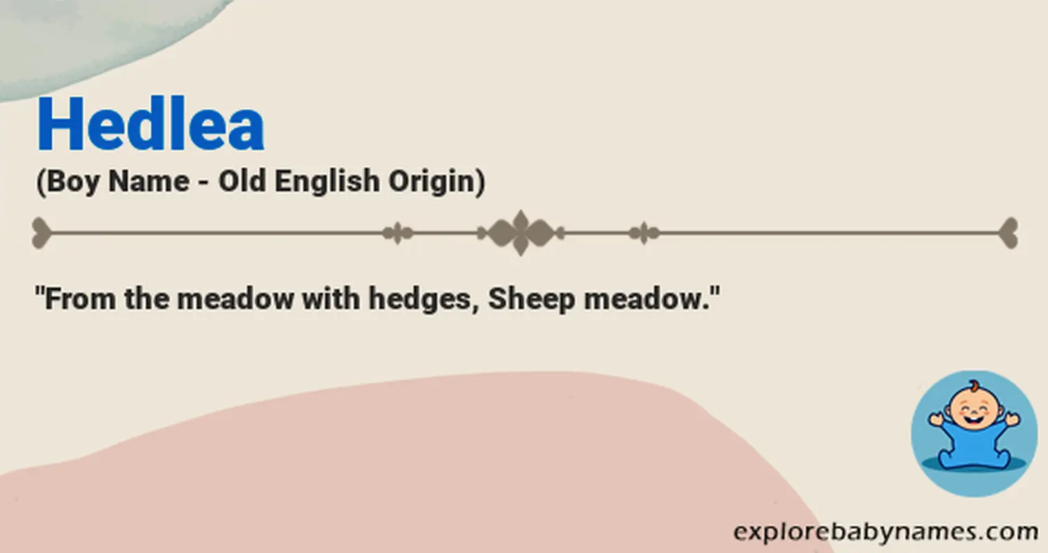 Meaning of Hedlea