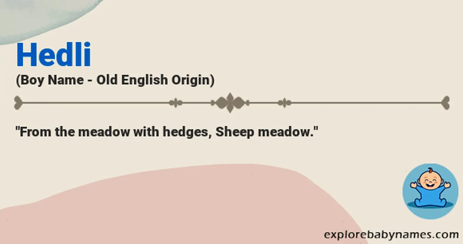 Meaning of Hedli