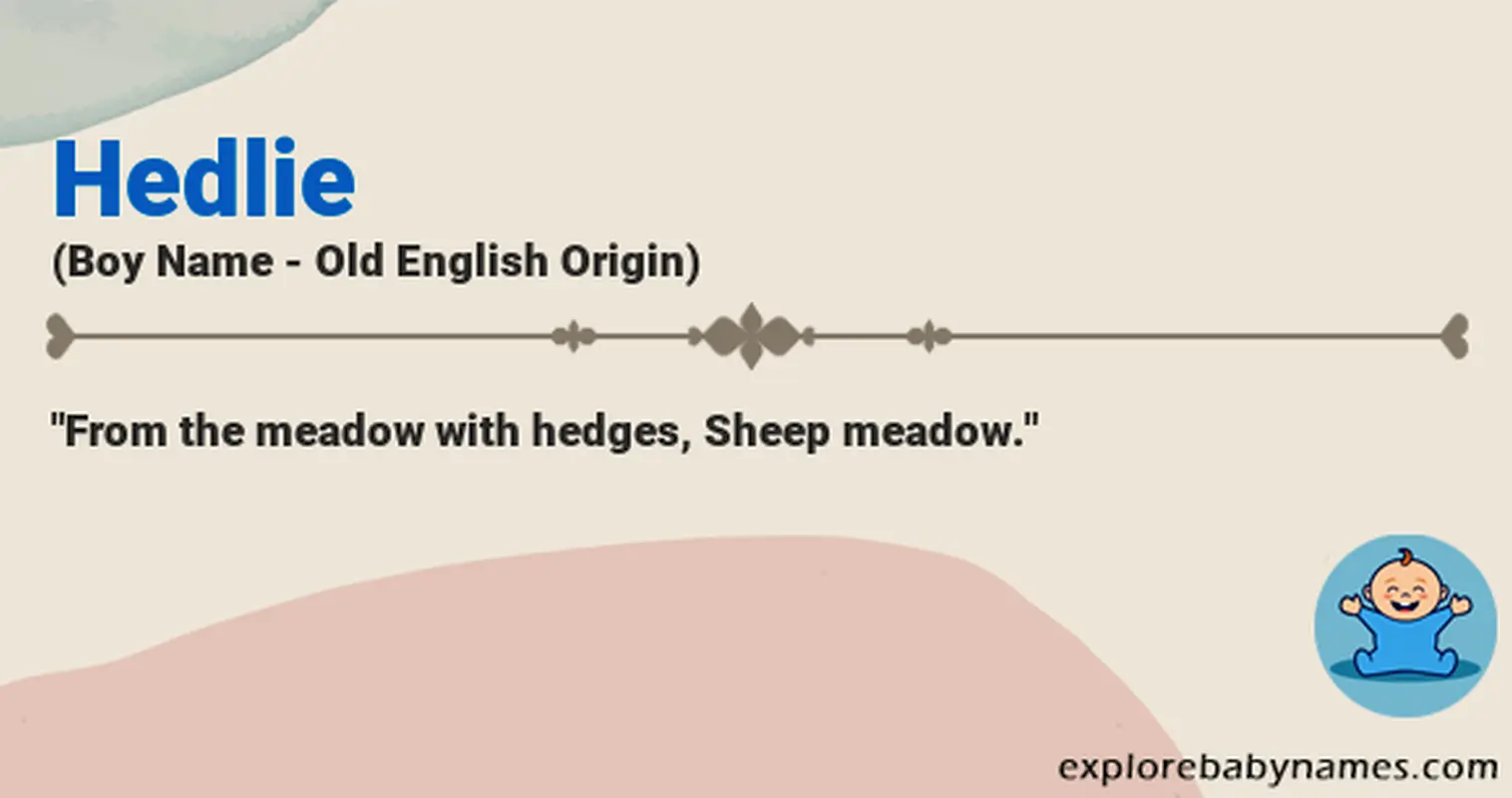 Meaning of Hedlie