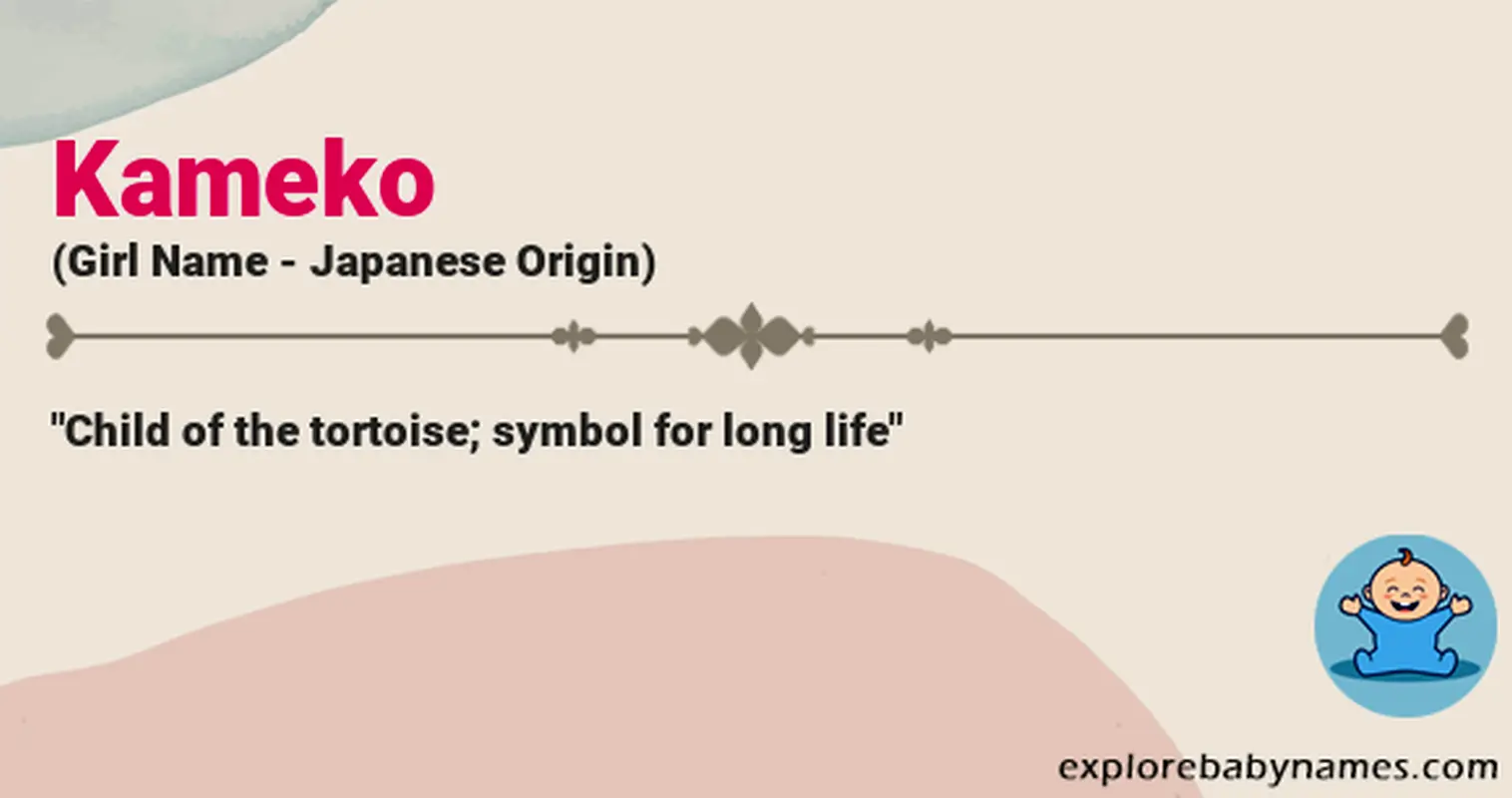 Meaning of Kameko