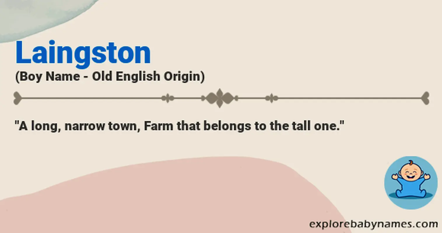 Meaning of Laingston
