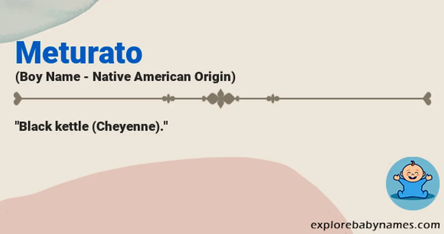Meaning of Meturato
