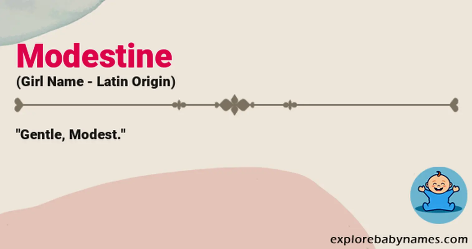 Meaning of Modestine