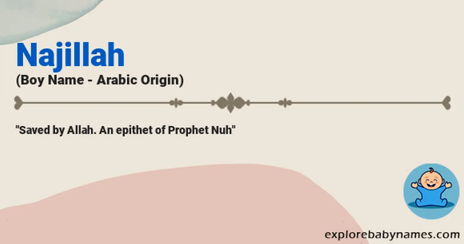 Meaning of Najillah