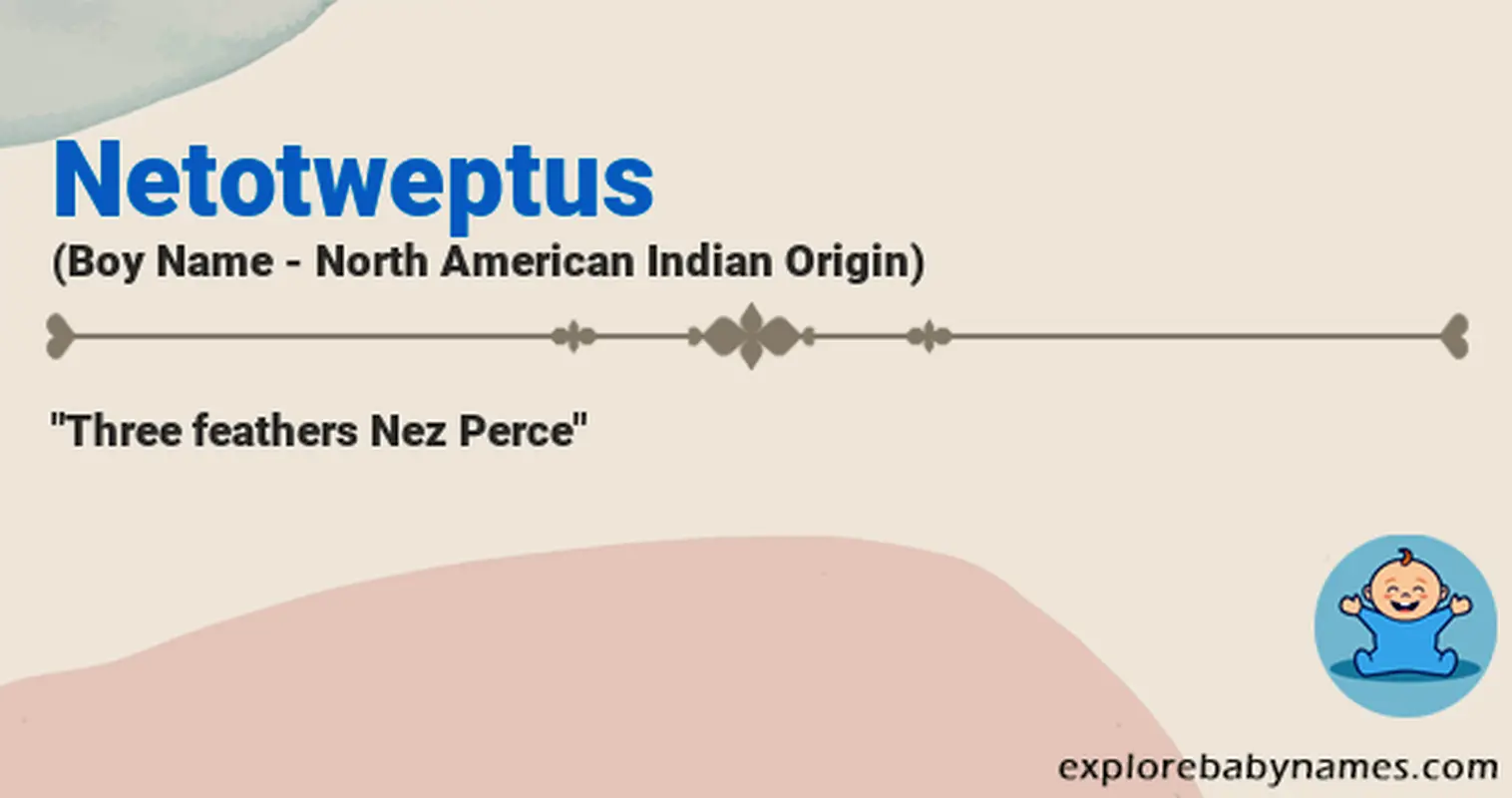 Meaning of Netotweptus