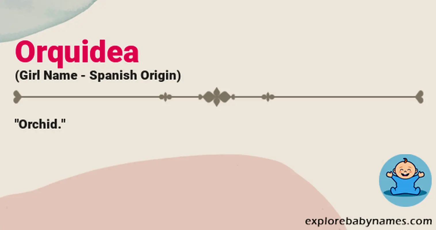 Meaning of Orquidea
