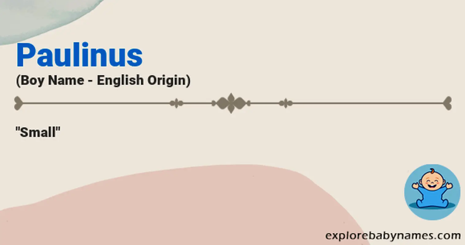 Meaning of Paulinus