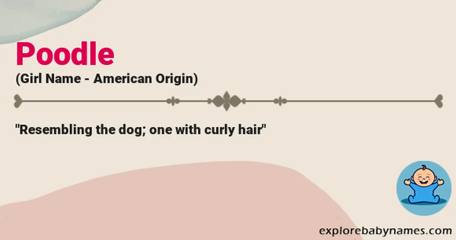 Meaning of Poodle