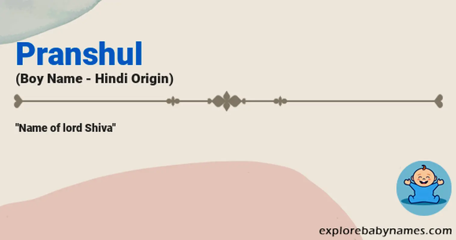 Meaning of Pranshul