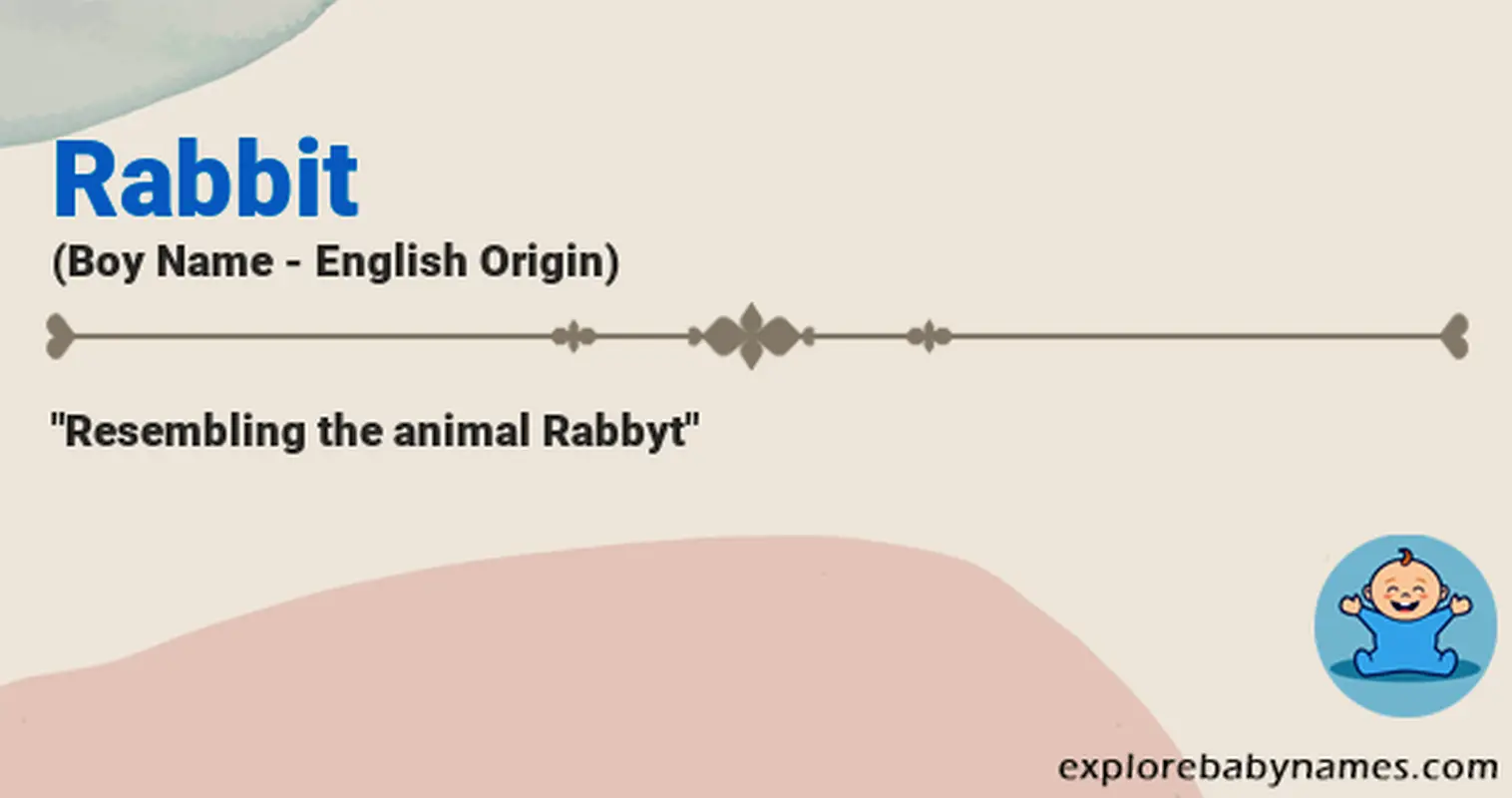 Meaning of Rabbit