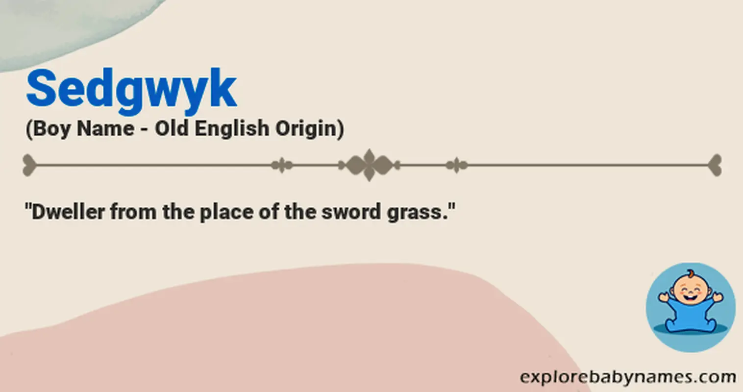 Meaning of Sedgwyk