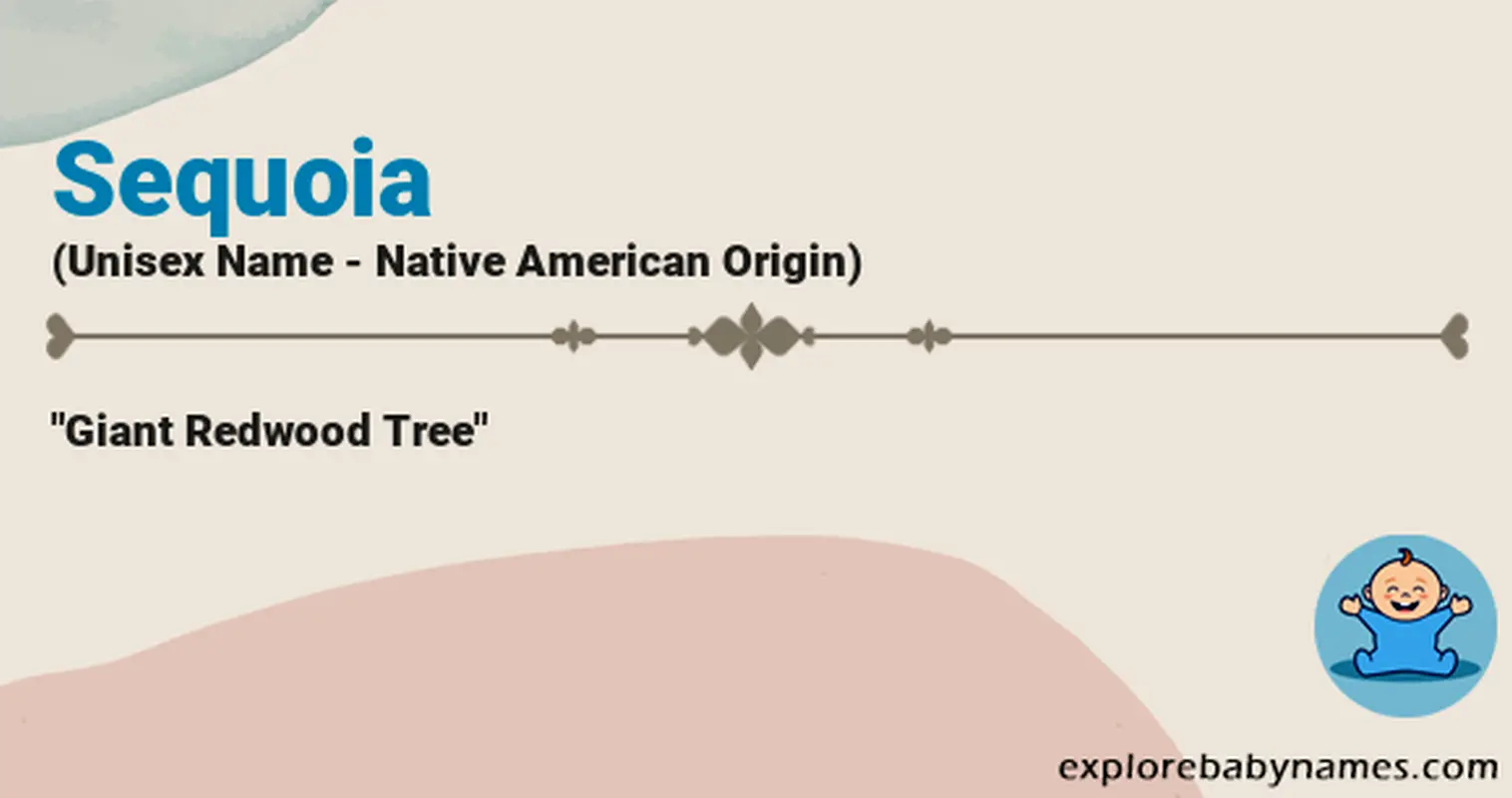 Meaning of Sequoia