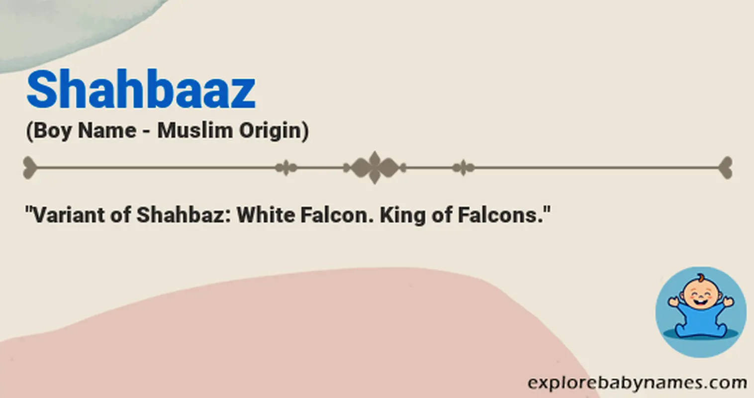 Meaning of Shahbaaz