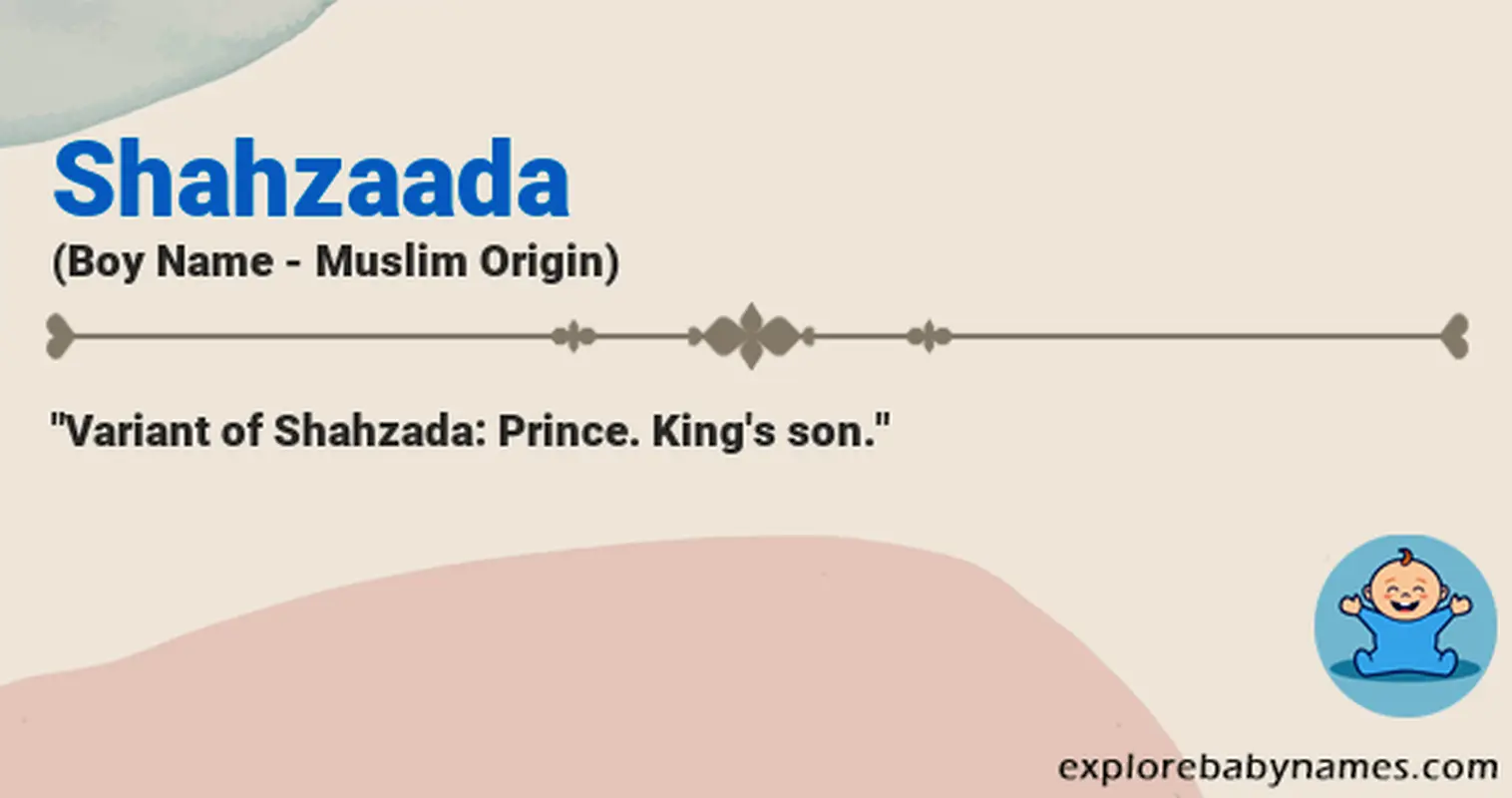 Meaning of Shahzaada