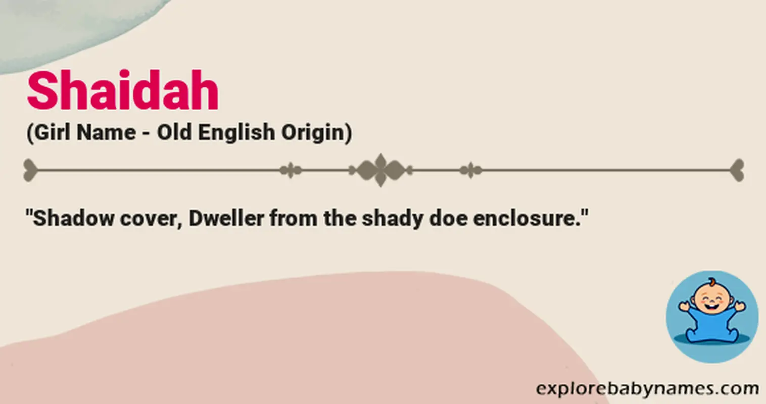 Meaning of Shaidah
