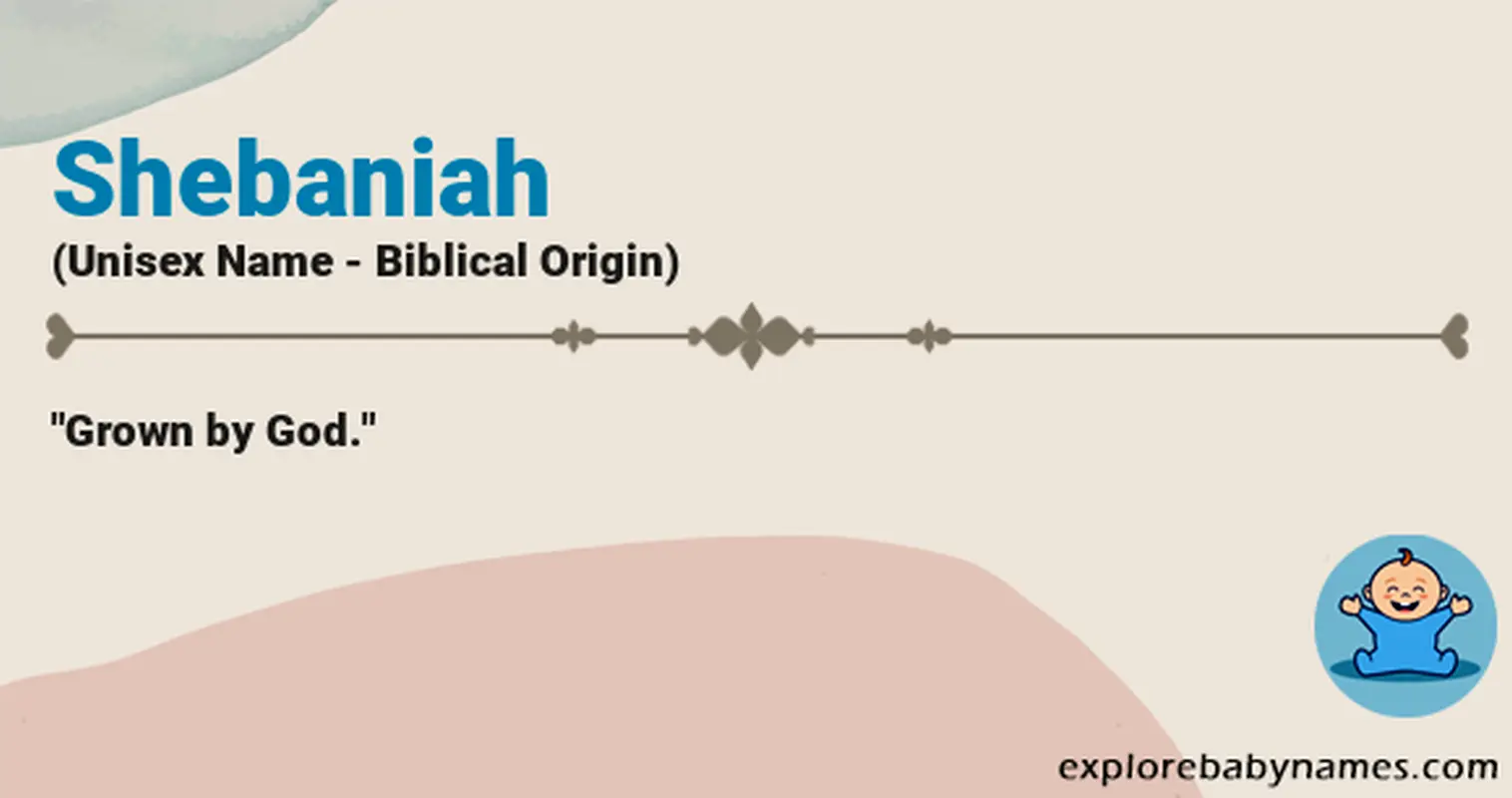 Meaning of Shebaniah
