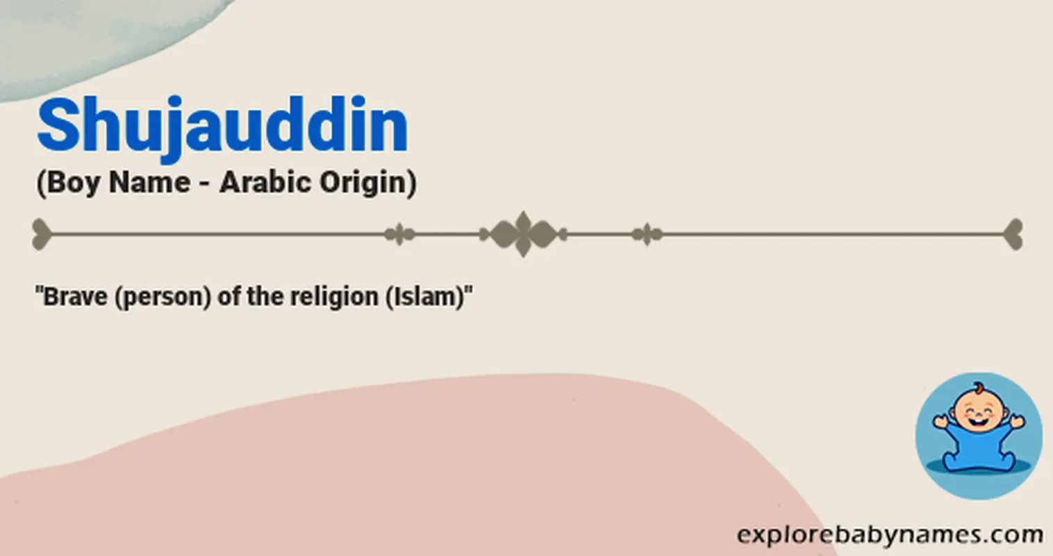 Meaning of Shujauddin