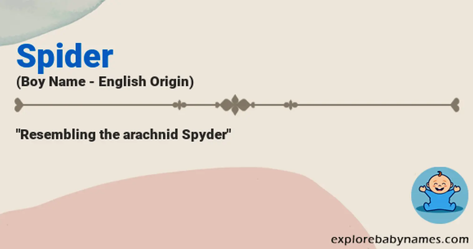 Meaning of Spider