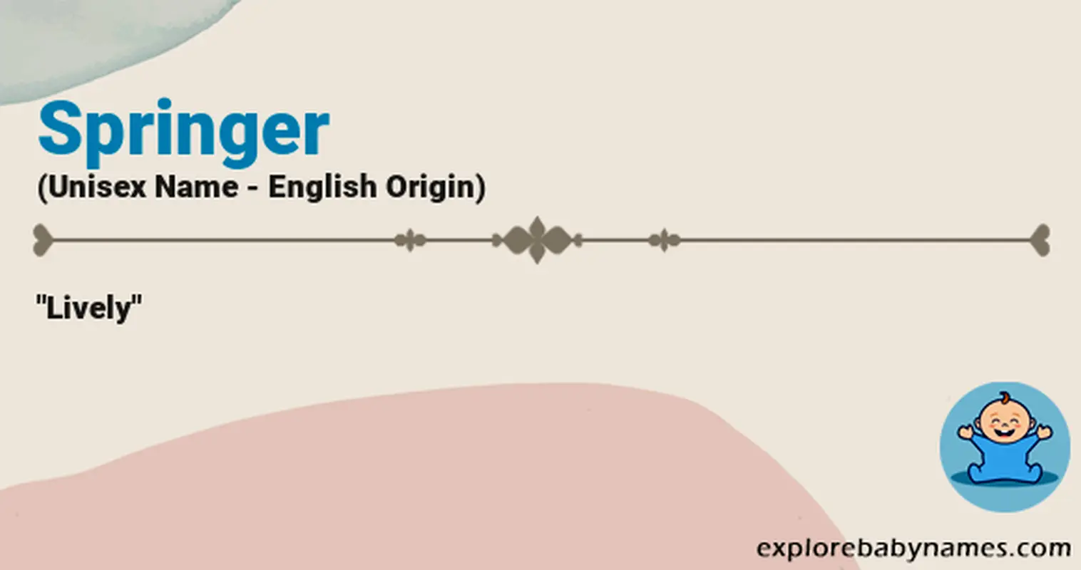 Meaning of Springer