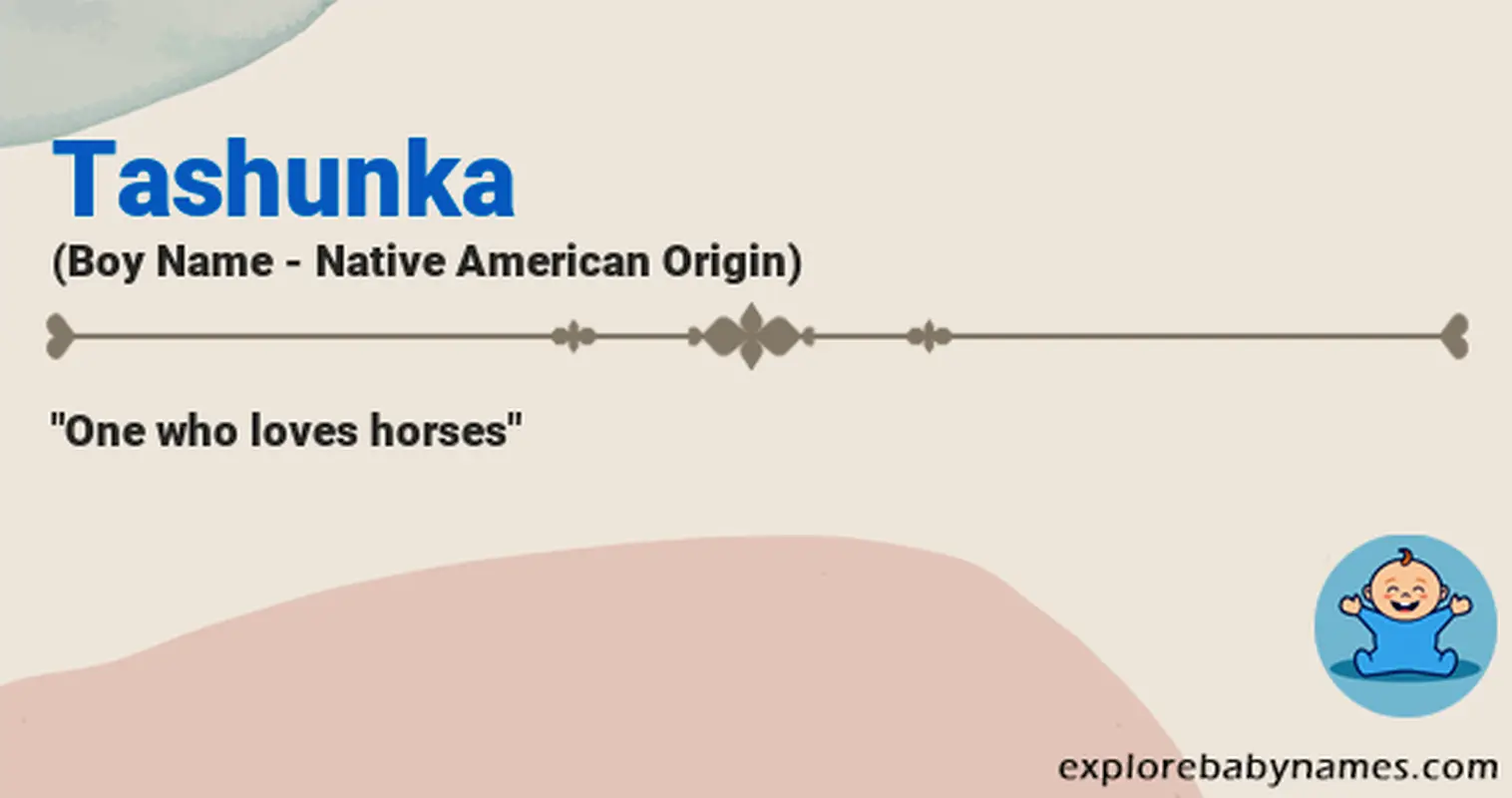 Meaning of Tashunka