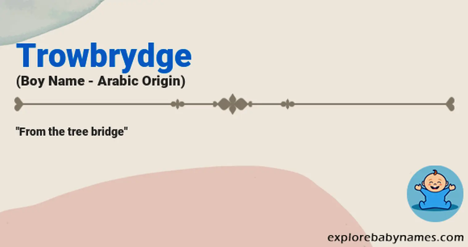 Meaning of Trowbrydge
